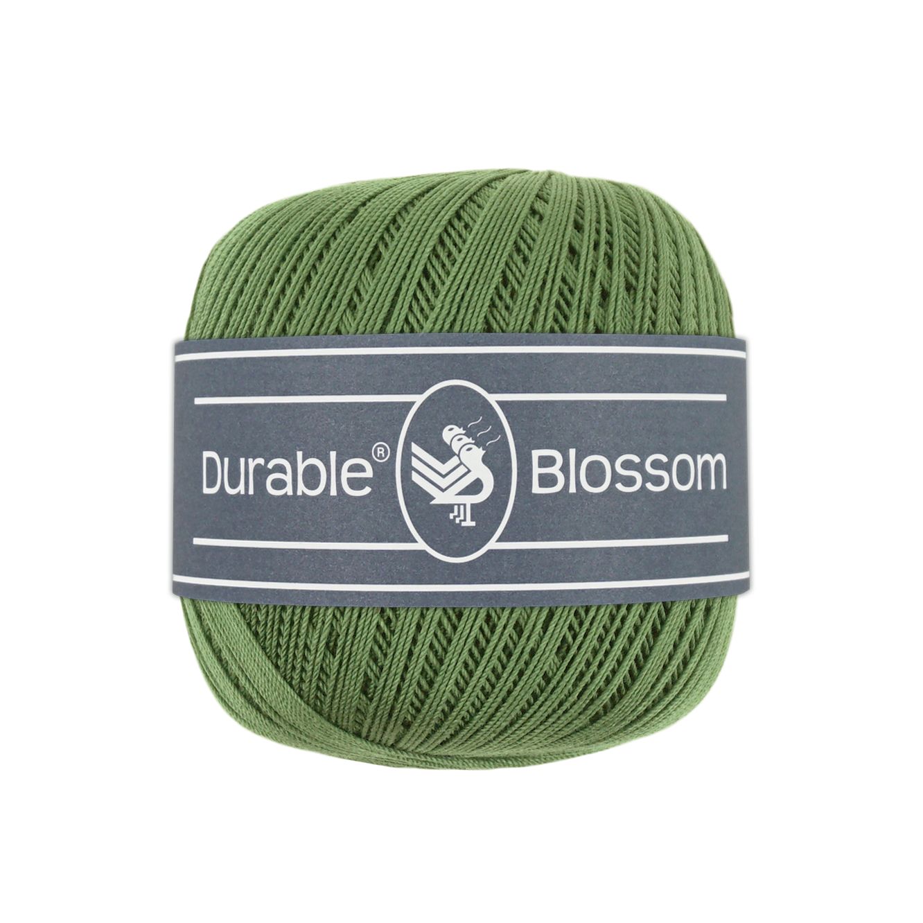 Blossom