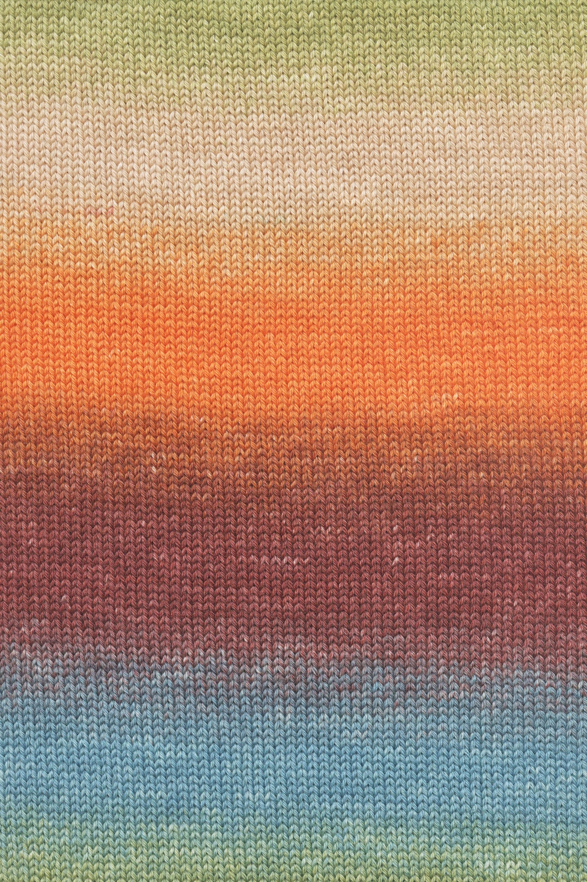 Lang Yarns Merino 200 Bebe Color Jungle (0551)