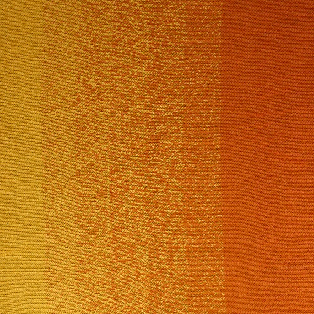 Scheepjes Mega Whirl Spiceberry (402)