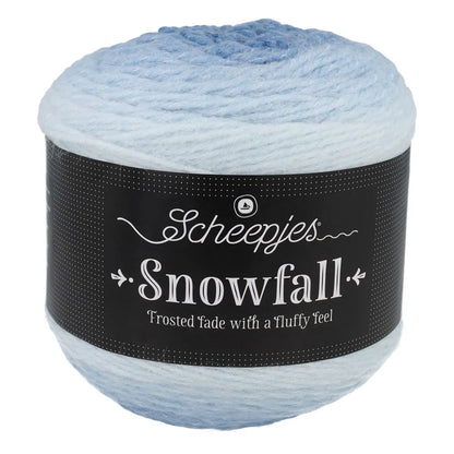 Snowfall Midwinter (09)