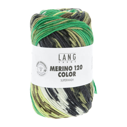 Lang Yarns Merino 120 Color Greenish (0010)