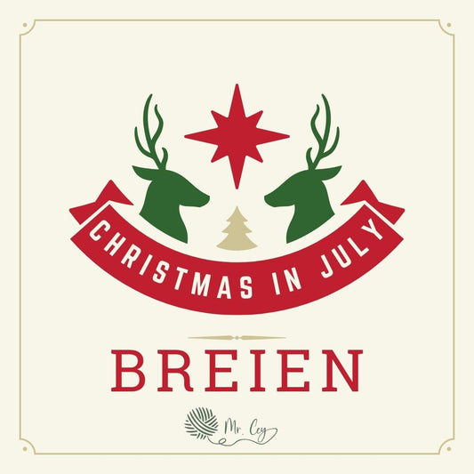 Christmas in july mystery blanket 2026 BREIEN
