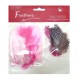 Feathers mix 12229-2903