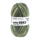 Lang Yarns Super Soxx Color 4 Ply Berrysoxx Gooseberry (0470)