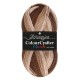 Scheepjes Colour Crafter Parade Brown Blend (409)