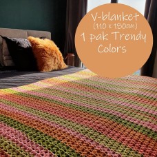 Trendy Colors Dekens (Haakpatroon)