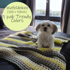 Trendy Colors Dekens (Haakpatroon)